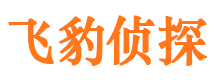 雄县市私家侦探